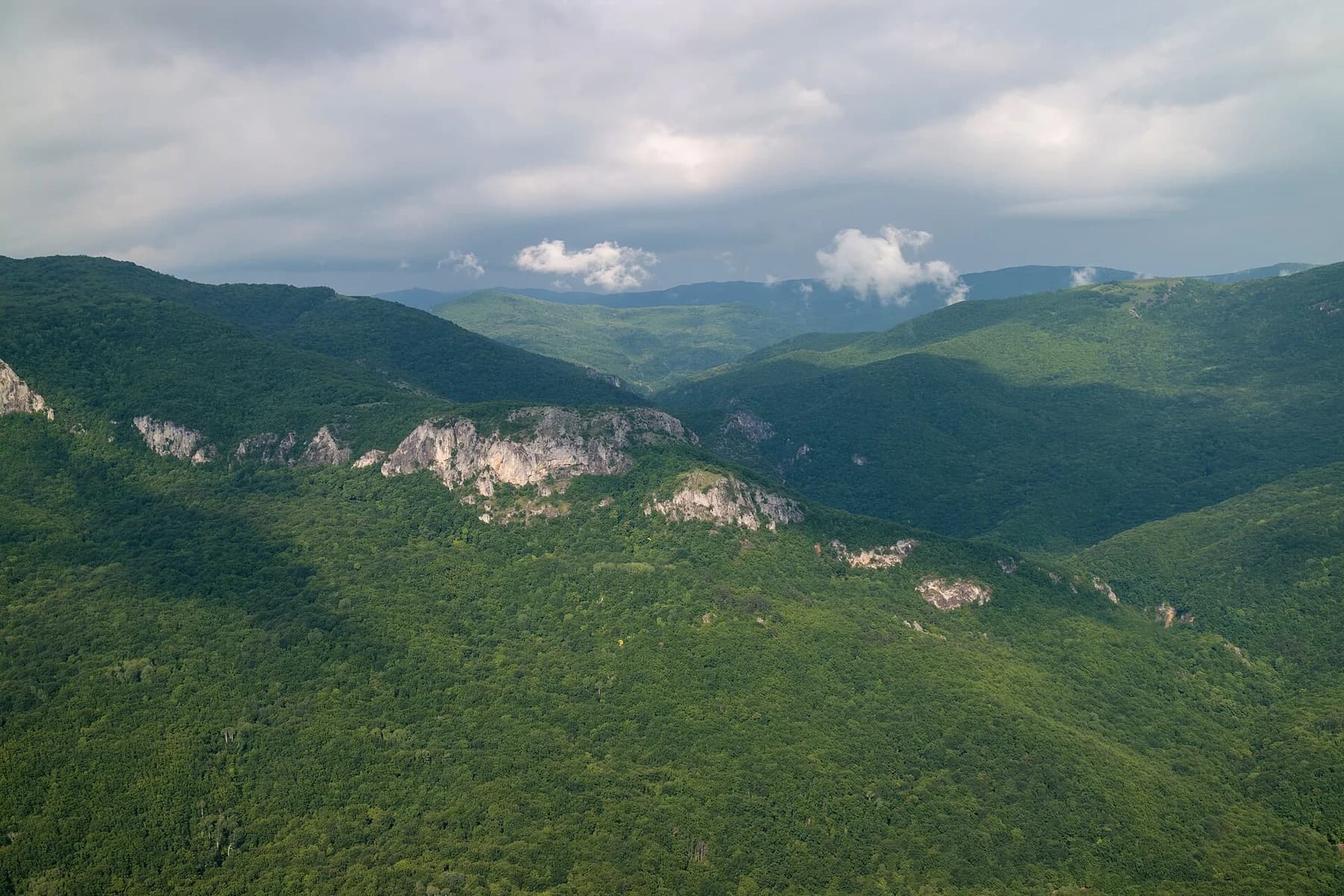 Панорама лесных склонов Большого каньона Крыма