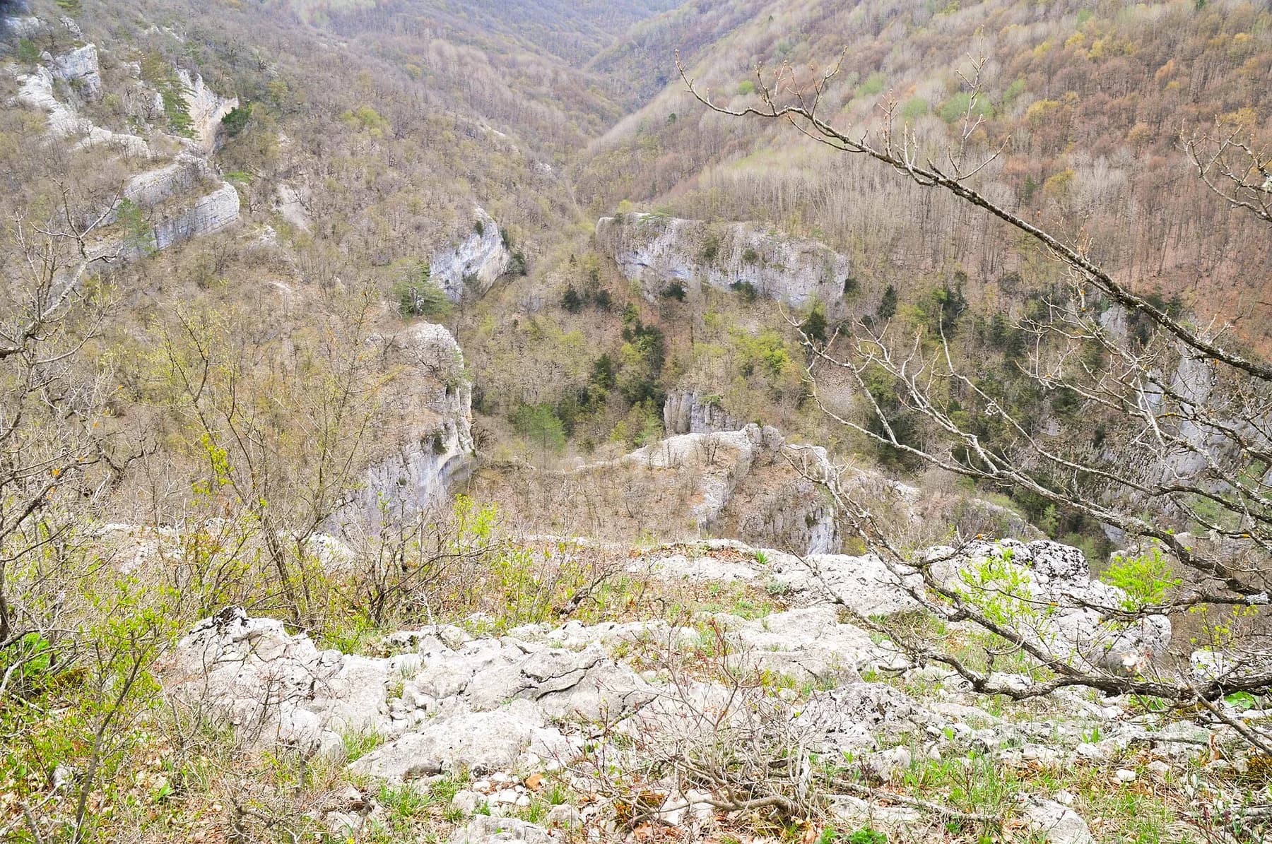 Скальные стены и лес внутри Большого каньона Крыма
