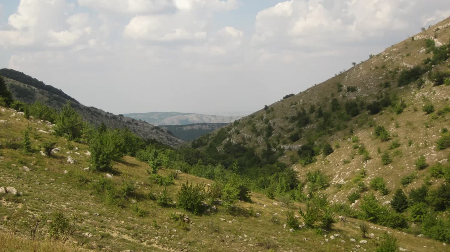Каменистые и лесистые склоны урочища Караби-яйла