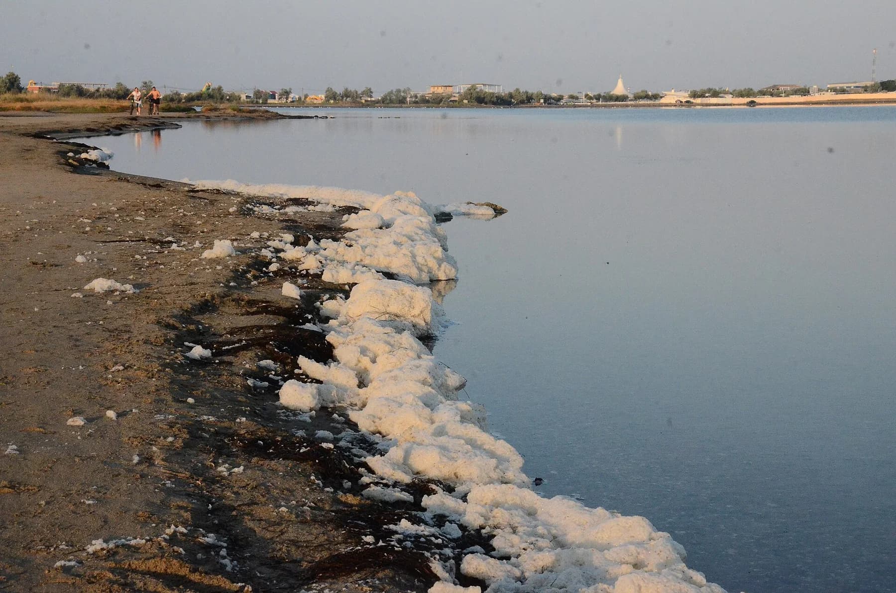 Водная гладь и берег Мойнакского озера